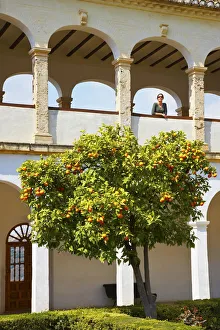 Spain, Andalucia, Granada, Alhambra. Woman looking out over orange tree (MR) Spain, Andalucia, Granada, Alhambra. Woman looking out over orange tree (MR)