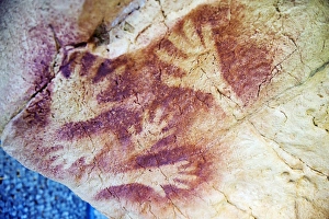Spain, Cave of Altimira, rock art paintings of animals, Unesco site Spain, Cave of Altimira, rock art paintings of animals, Unesco site