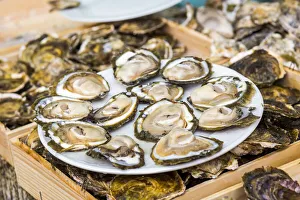 Spain, Galicia, Vigo, Fresh oysters at the oyster market Spain, Galicia, Vigo, Fresh oysters at the oyster market