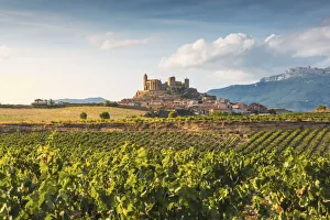 Spain, La Rioja, San Vicente de la Sonsierra. Lush vineyards in summer Spain, La Rioja, San Vicente de la Sonsierra. Lush vineyards in summer