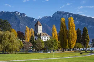 Speiz, Lake Thun, Berner Oberland, Switzerland Speiz, Lake Thun, Berner Oberland, Switzerland