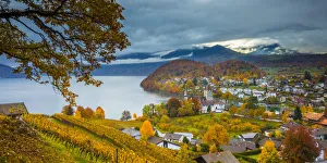 Spiez Castle and vineyards, Berner Oberland, Switzerland Spiez Castle and vineyards, Berner Oberland, Switzerland