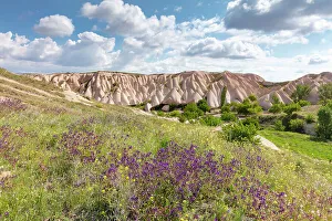 UNESCO World Heritage Site Cappadocia Prints: Spring flowers and rock formations