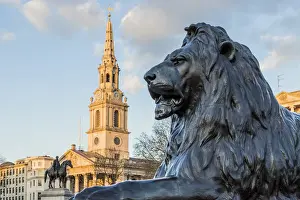 St Martin in the Fields Church and Trafalgar Square Lion Print, London