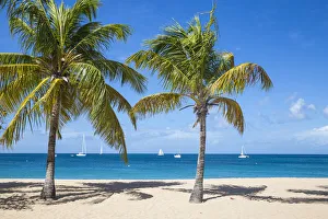 St Vincent and The Grenadines, Mayreau, Saline Bay St Vincent and The Grenadines, Mayreau, Saline Bay