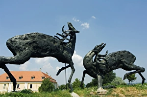 Statue of Deer inside Petrovaradin Citadel Statue of Deer inside Petrovaradin Citadel