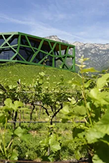 Steel vines architecture of the Tramin Winery, Wine Route, Tramin, South Tyrol, Italy Steel vines architecture of the Tramin Winery, Wine Route, Tramin, South Tyrol, Italy