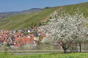Strumpfelbach, Weinstadt, Remstal Valley, Baden-Wurttemberg, Germany Strumpfelbach, Weinstadt, Remstal Valley, Baden-Wurttemberg, Germany
