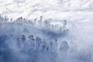 Sulfur mist, Ijen crater, Eastern Giava Island, Indonesia Sulfur mist, Ijen crater, Eastern Giava Island, Indonesia