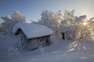 Sunburst lights up the snowy forest, Kiruna, Norrbotten County, Lapland, Sweden Sunburst lights up the snowy forest, Kiruna, Norrbotten County, Lapland, Sweden