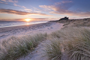 Sunrise over Bamburgh Beach and Castle from the sand dunes, Northumberland, England Sunrise over Bamburgh Beach and Castle from the sand dunes, Northumberland, England