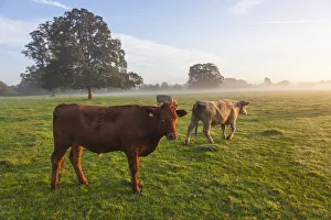 Sunrise, Usk Valley, South Wales, UK