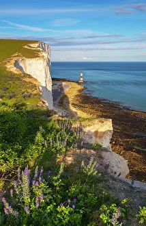 Beachy Head Lighthouse Print