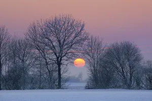 Upper Bavaria Forest Scenery Prints: Sunset impression in winter - Germany, Bavaria, Upper Bavaria, Munchen, Ismaning