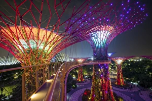 Supertrees at Gardens by the Bay, illuminated at night, Singapore, Southeast Asia Supertrees at Gardens by the Bay, illuminated at night, Singapore, Southeast Asia