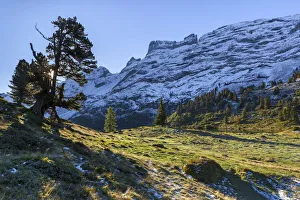 Switzerland, Berner Oberland, Alp Engstlen Switzerland, Berner Oberland, Alp Engstlen