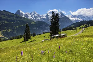 Switzerland, Berner Oberland, Alp Winteregg Switzerland, Berner Oberland, Alp Winteregg