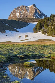 Switzerland, Berner Oberland, Gantrisch mountain Switzerland, Berner Oberland, Gantrisch mountain