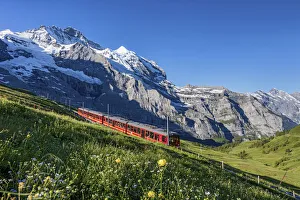Switzerland, Berner Oberland, Kleine Scheidegg, Jungfraujoch train Switzerland, Berner Oberland, Kleine Scheidegg, Jungfraujoch train