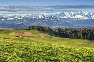 Switzerland, Berner Oberland, View from Butschelegg Switzerland, Berner Oberland, View from Butschelegg