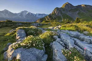 Switzerland, Berner Oberland, View from Suls, Monch Jungfrau mountains Switzerland, Berner Oberland, View from Suls, Monch Jungfrau mountains