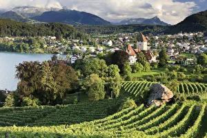 Switzerland, Bernese Oberland, Lake Thun, Spiez Castle Switzerland, Bernese Oberland, Lake Thun, Spiez Castle