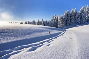 Switzerland, Canton Appenzell, GAA¤bris mountain Switzerland, Canton Appenzell, GAA¤bris mountain