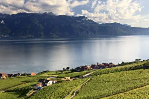 Switzerland, Vaud, Lavaux Vineyards, Rivaz Village and Lac Leman / Lake Geneva Switzerland, Vaud, Lavaux Vineyards, Rivaz Village and Lac Leman / Lake Geneva