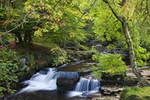 Taf Fechan River flowing through autumn foliage, Brecon Beacons National Park, Powys Taf Fechan River flowing through autumn foliage, Brecon Beacons National Park, Powys