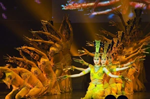 Tang Dynasty Tang Dynasty