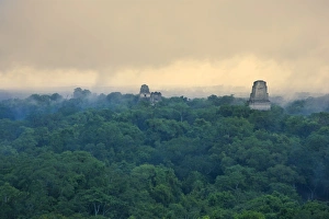 Tikal Pyramid ruins (UNESCO site) and rainforest Tikal Pyramid ruins (UNESCO site) and rainforest
