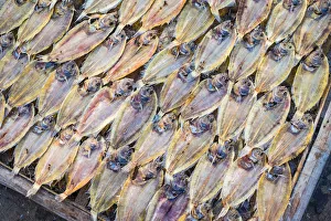 Tilapia drying in the sun at Mui Ne fishing harbor, Phan Thiet, BAA¬nh Thuan Province Tilapia drying in the sun at Mui Ne fishing harbor, Phan Thiet, BAA¬nh Thuan Province