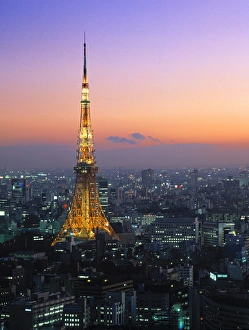 Tokyo Tower Prints: Tokyo Tower Print