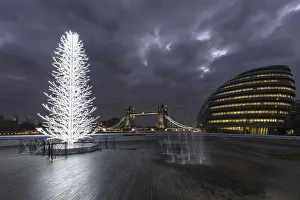 Tower Bridge and City Halll at night with a Christmas tree in the foreground, London Tower Bridge and City Halll at night with a Christmas tree in the foreground, London