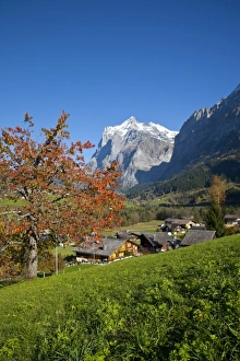 Traditional Houses, Wetterhorn & Grindelwald, Berner Oberland, Switzerland Traditional Houses, Wetterhorn & Grindelwald, Berner Oberland, Switzerland