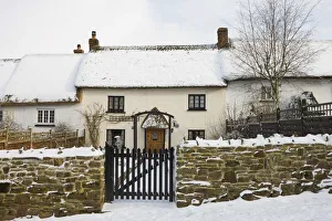 Traditional thatched cottage along Fore Street, forming part of the longest continuous Traditional thatched cottage along Fore Street, forming part of the longest continuous