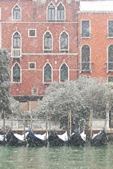 Some traditional venetian gondolas moored at Riva del Vin during a snowfall, Grand Canal Some traditional venetian gondolas moored at Riva del Vin during a snowfall, Grand Canal