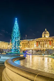 Trafalgar Square illuminated at night at Christmas, London, England, UK Trafalgar Square illuminated at night at Christmas, London, England, UK