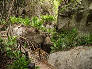 Trail in Tayrona National Natural Park, Magdalena Department, Caribbean, Colombia Trail in Tayrona National Natural Park, Magdalena Department, Caribbean, Colombia