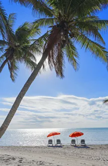 Tropical beach, Key West, Florida, USA Tropical beach, Key West, Florida, USA