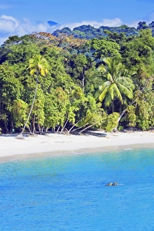 Tropical beach, Manuel Antonio National Park, Costa Rica Tropical beach, Manuel Antonio National Park, Costa Rica
