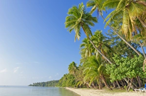 Tropical beach, Nanuya Lailai Island, Yasawa island group, Fiji, South Pacific islands Tropical beach, Nanuya Lailai Island, Yasawa island group, Fiji, South Pacific islands