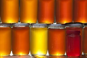 Tunisia, Northern Tunisia, Nefza, local honey Tunisia, Northern Tunisia, Nefza, local honey