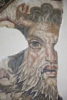 Tunis Collection: Tunisia, Tunis, Bardo Museum, Roman-era mosaics