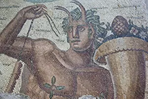 Tunis Collection: Tunisia, Tunis, Carthage, Byrsa Hill, Musee de Carthage, Roman-era mosaic detail