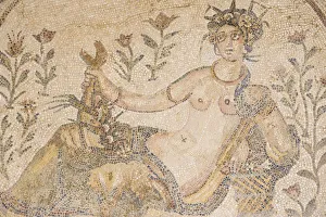 Tunisia, Tunis, Carthage, Byrsa Hill, Mosaics Tunisia, Tunis, Carthage, Byrsa Hill, Mosaics