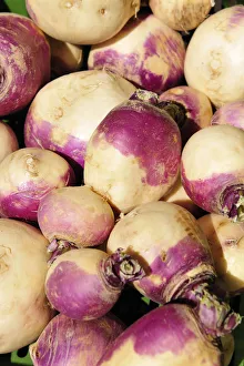 Southern Europe Gastronomy Prints: Turnips