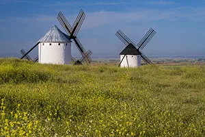 Traditional Spanish Windmill Prints: Typical windmills, Campo de Criptana, Castilla-La Mancha, Spain