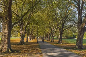 UK, England, Cambridge, Jesus Green in Autumn UK, England, Cambridge, Jesus Green in Autumn