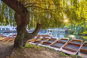 UK, England, Cambridge, The Mill Pond, Punts UK, England, Cambridge, The Mill Pond, Punts